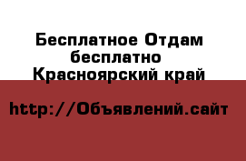 Бесплатное Отдам бесплатно. Красноярский край